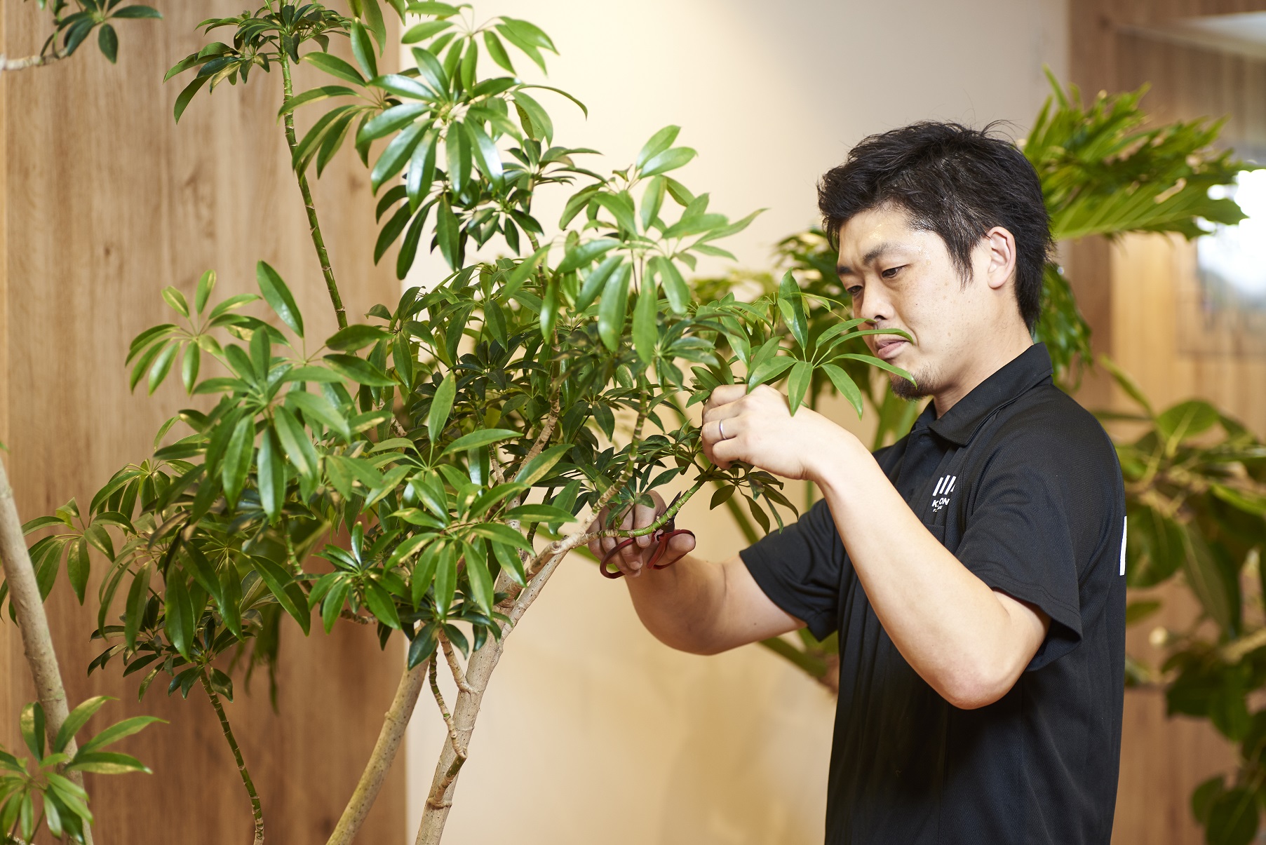 株式会社花門フラワーゲート 三鷹台グリーンハウスの正社員 職人・現場スタッフ 営業・企画 その他 外構・エクステリア 屋内緑化の求人情報イメージ2