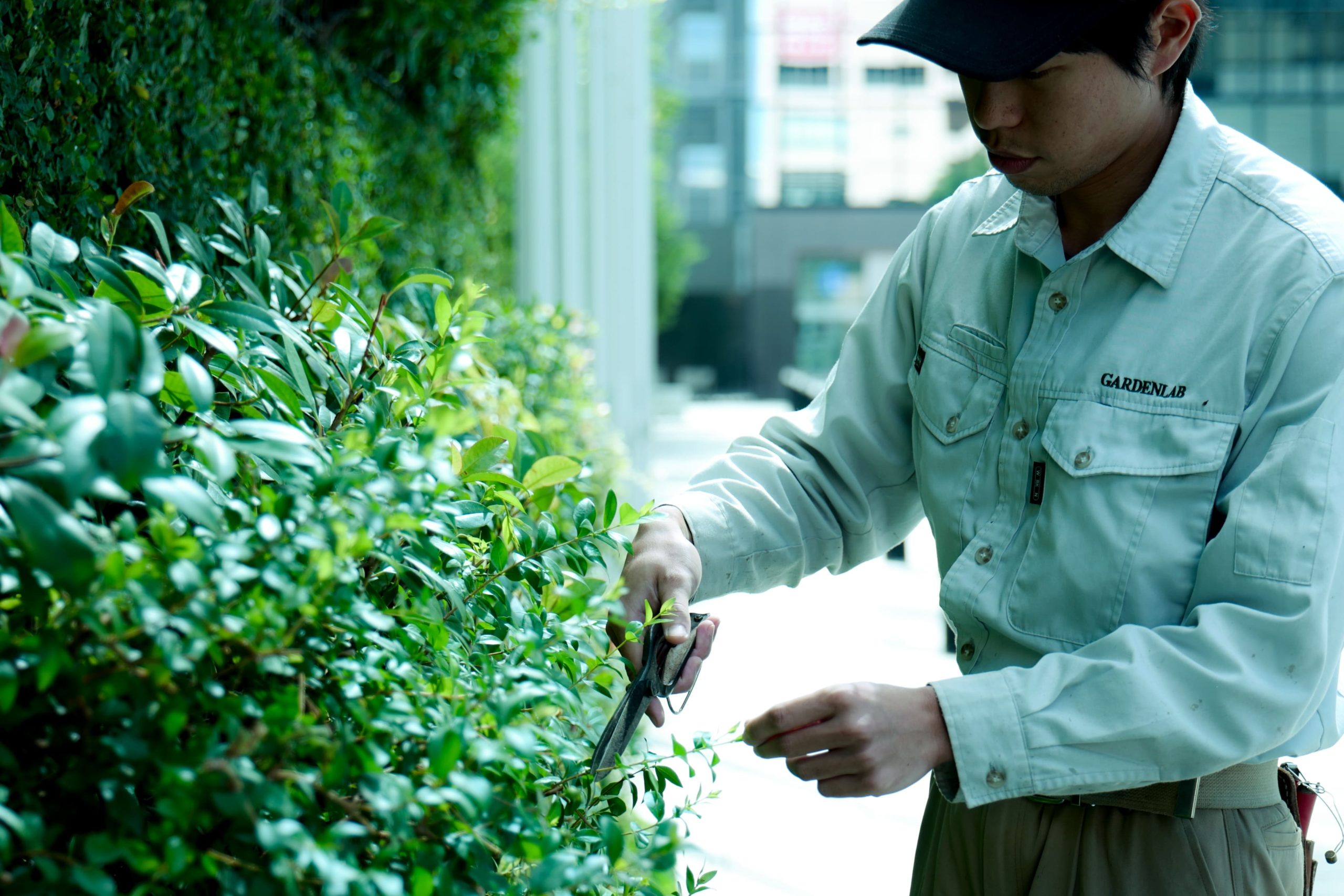 株式会社ガーデンラボの契約社員 職人・現場スタッフ 公園・施設管理 都市緑化・ランドスケープ お庭・植木 公園・公共施設求人イメージ