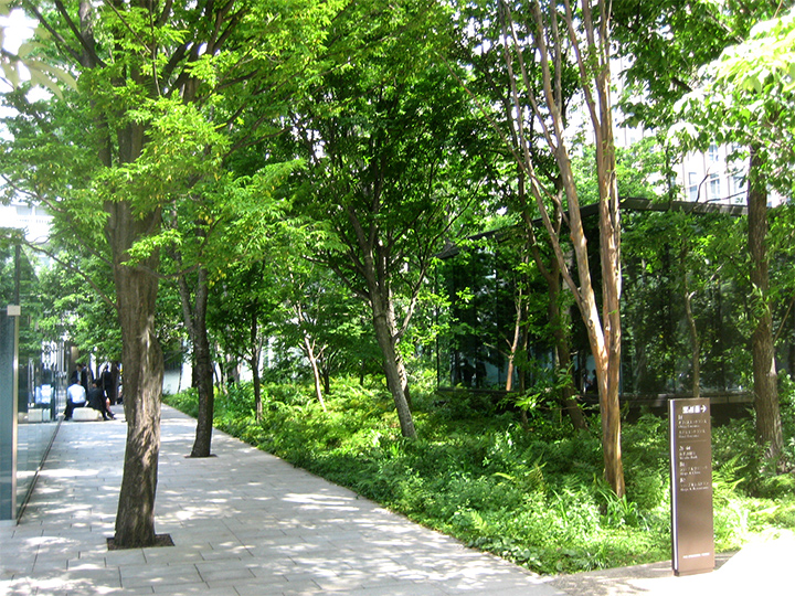 内山緑地建設株式会社 相模原営業所の正社員 施工管理（工事） 都市緑化・ランドスケープ 公園・公共施設求人イメージ