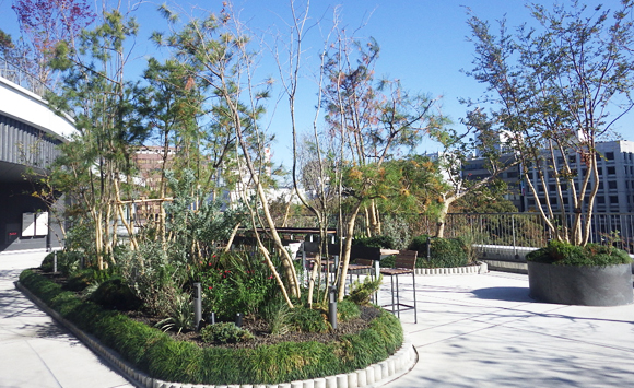 西武造園株式会社 サクラマチクマモトの契約社員 現場管理（維持管理） 都市緑化・ランドスケープ 公園・公共施設求人イメージ