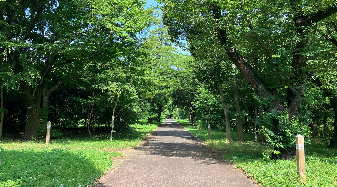 西武造園株式会社 武蔵野公園の契約社員 公園・施設管理 公園・公共施設の求人情報イメージ1