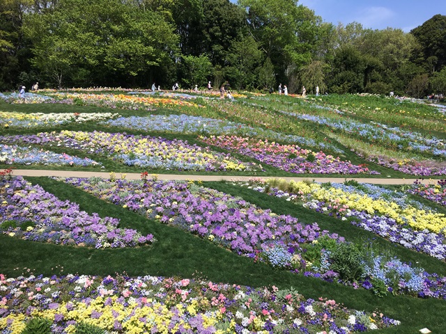 横浜緑地株式会社の契約社員 施工管理（工事） 都市緑化・ランドスケープ 外構・エクステリア 公園・公共施設求人イメージ