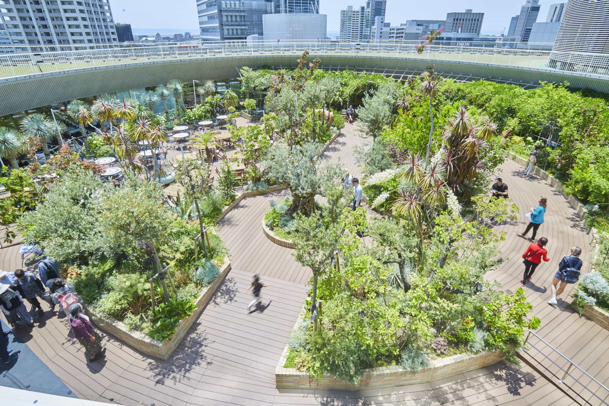 そら植物園株式会社 東京事務所の正社員 職人・現場スタッフ 公園・施設管理 都市緑化・ランドスケープ お庭・植木の求人情報イメージ2