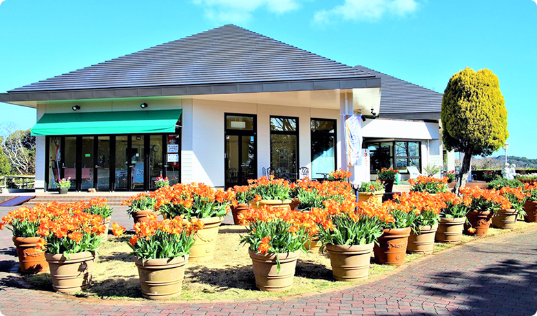 西武造園株式会社 くりはま花の国の契約社員 公園・施設管理 販売・接客 公園・公共施設求人イメージ