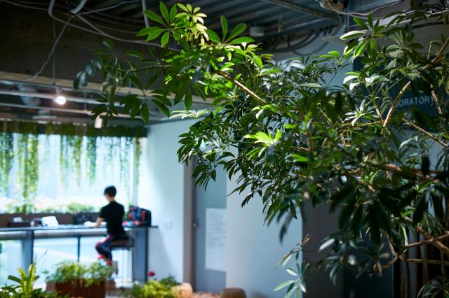 株式会社パーク・コーポレーションの正社員 営業・企画 屋内緑化の求人情報イメージ3
