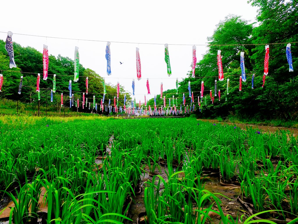 株式会社田澤園の正社員 施工管理（工事） 現場管理（維持管理） 都市緑化・ランドスケープ 公園・公共施設の求人情報イメージ1