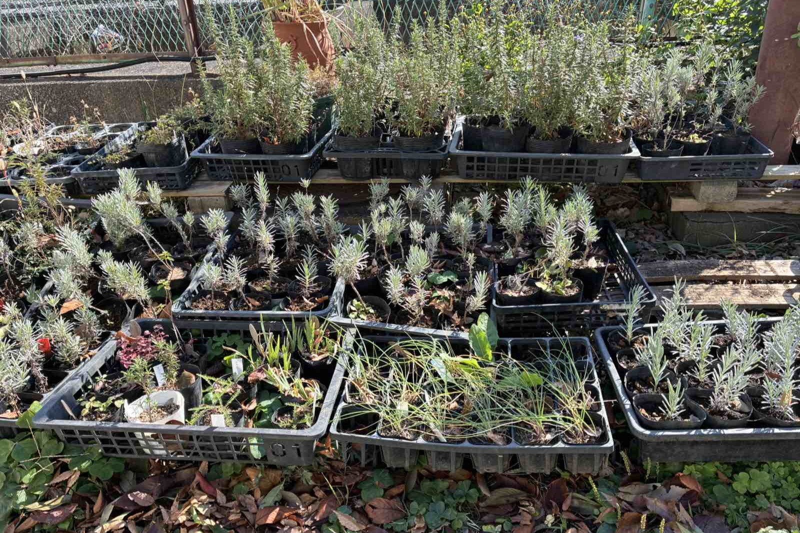 株式会社ワールドインテック 見沼氷川公園のアルバイト・パート 公園・施設管理 公園・公共施設の求人情報イメージ3