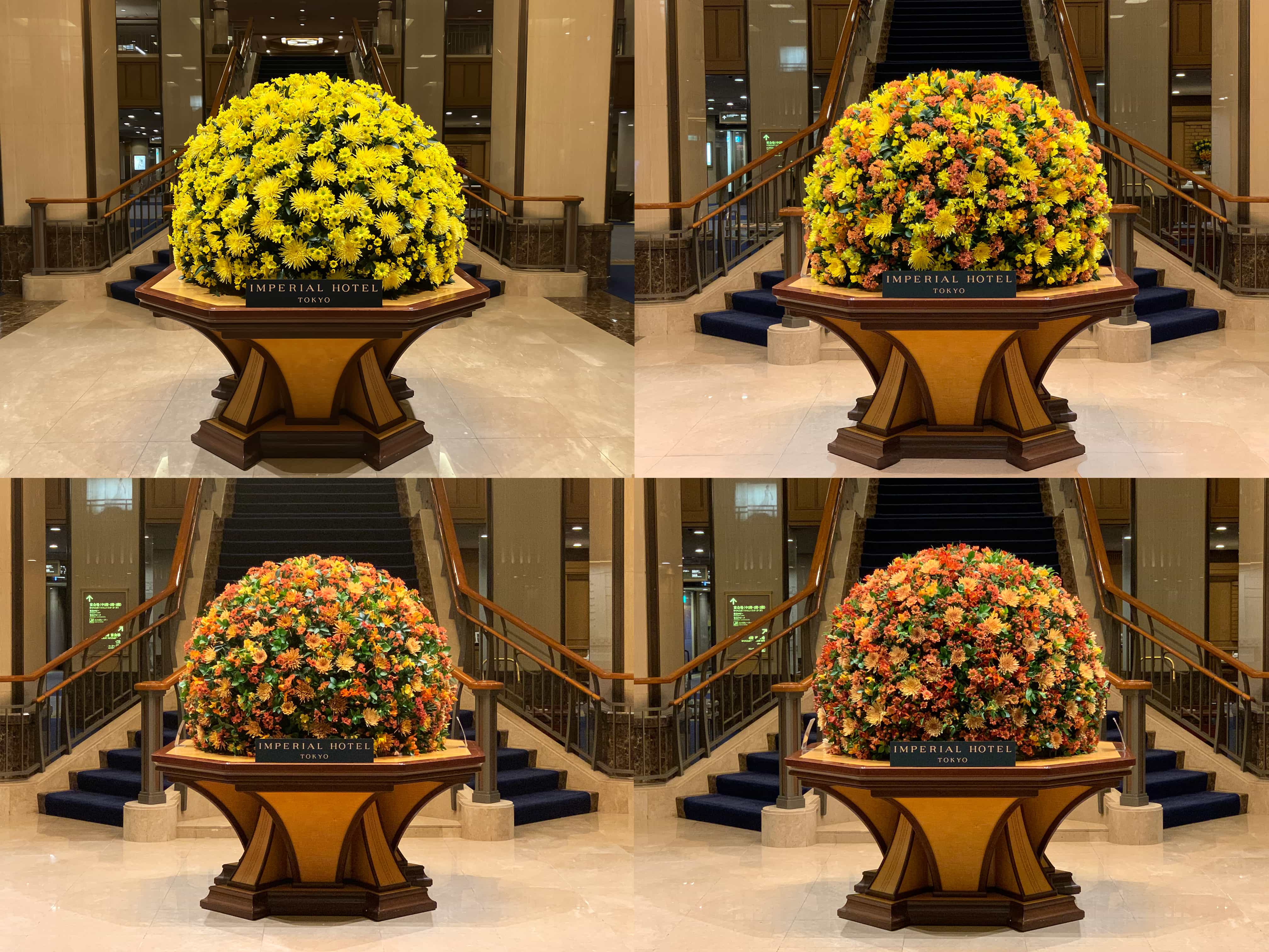 第一園芸株式会社 本社の正社員 営業・企画 屋内緑化の求人情報イメージ2