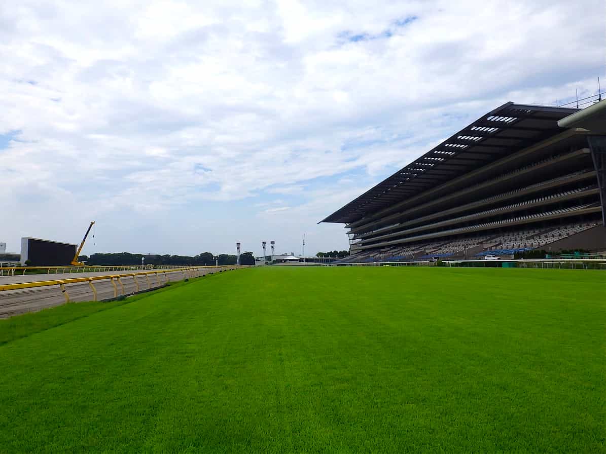 株式会社玉川造園の正社員 営業・企画 都市緑化・ランドスケープ 公園・公共施設求人イメージ