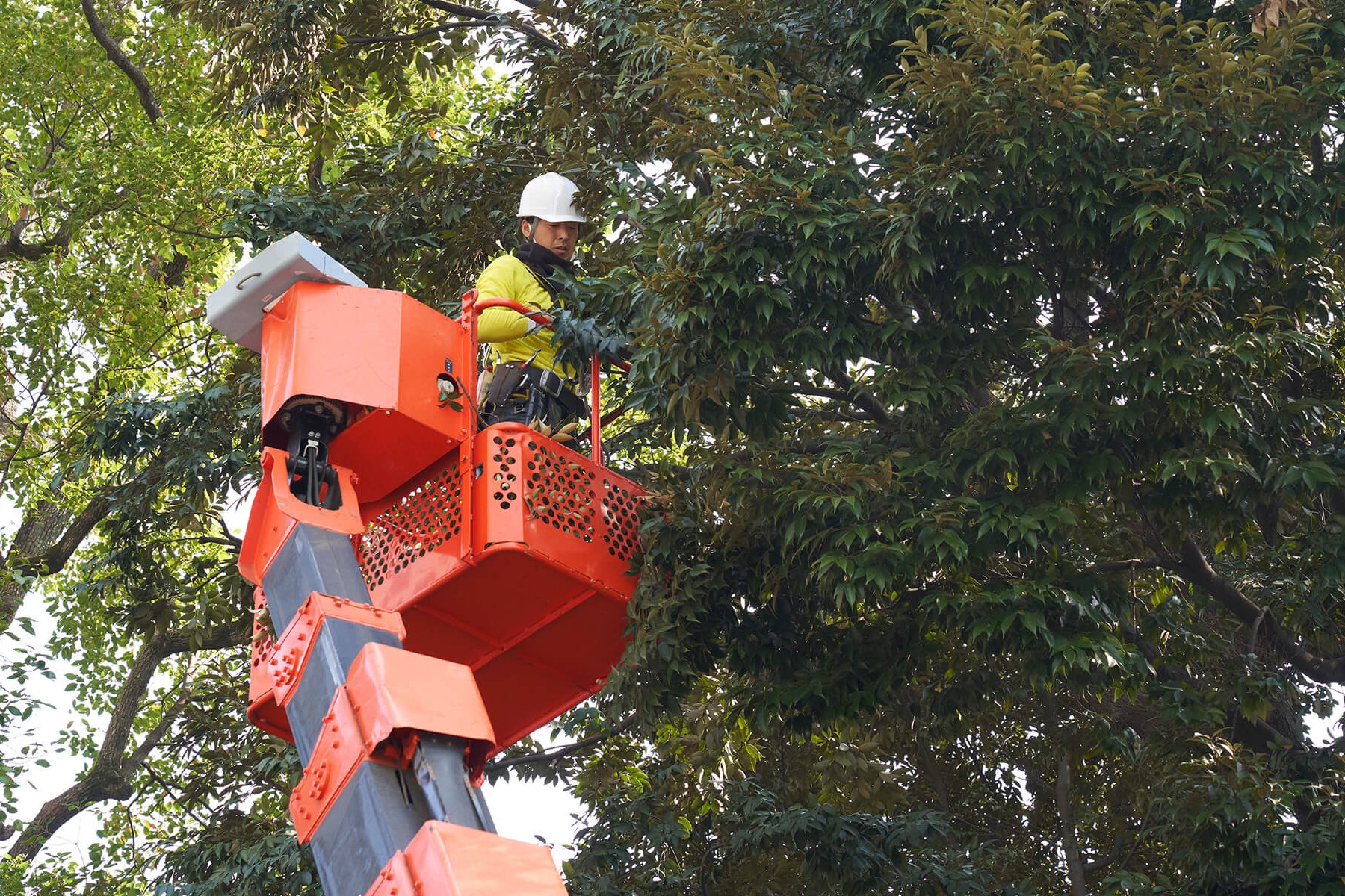株式会社双葉苑のアルバイト・パート 職人・現場スタッフ 都市緑化・ランドスケープ 公園・公共施設の求人情報イメージ3