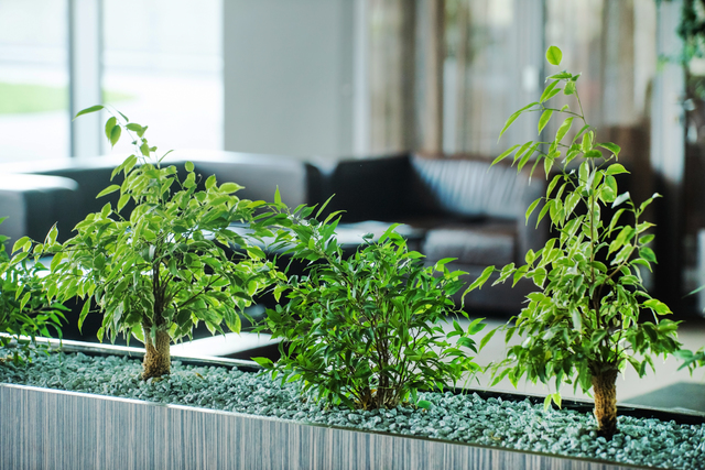 西武造園株式会社 ダイヤゲートオフィスの契約社員 営業・企画 その他の求人情報イメージ1