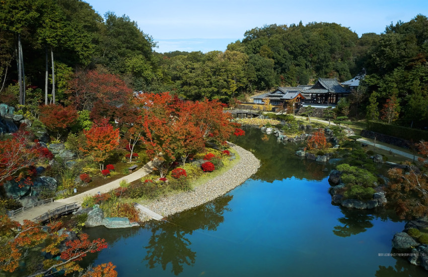 株式会社中根庭園研究所の正社員 職人・現場スタッフ お庭・植木 公園・公共施設の求人情報イメージ3