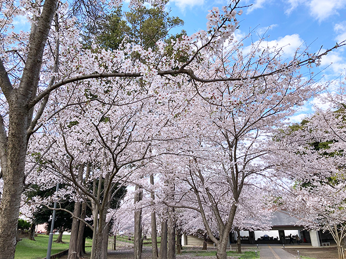 西武造園株式会社 桜木霊園の契約社員 公園・施設管理 事務 公園・公共施設求人イメージ