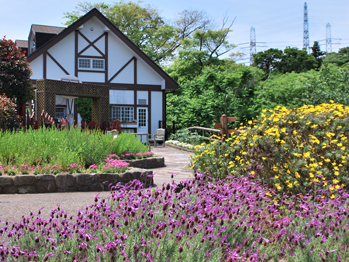 西武造園株式会社 くりはま花の国の契約社員 公園・施設管理 公園・公共施設の求人情報イメージ1