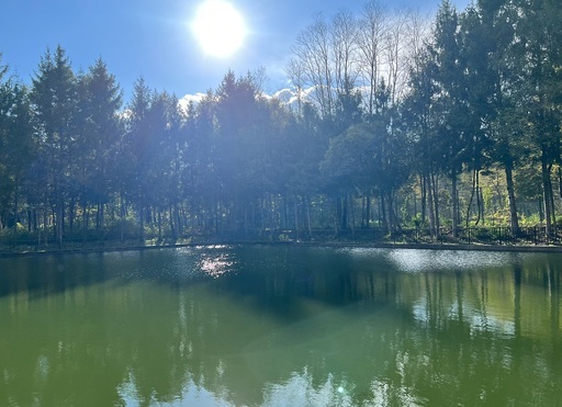 Kaze合同会社の正社員 職人・現場スタッフ 公園・施設管理 その他 公園・公共施設の求人情報イメージ1