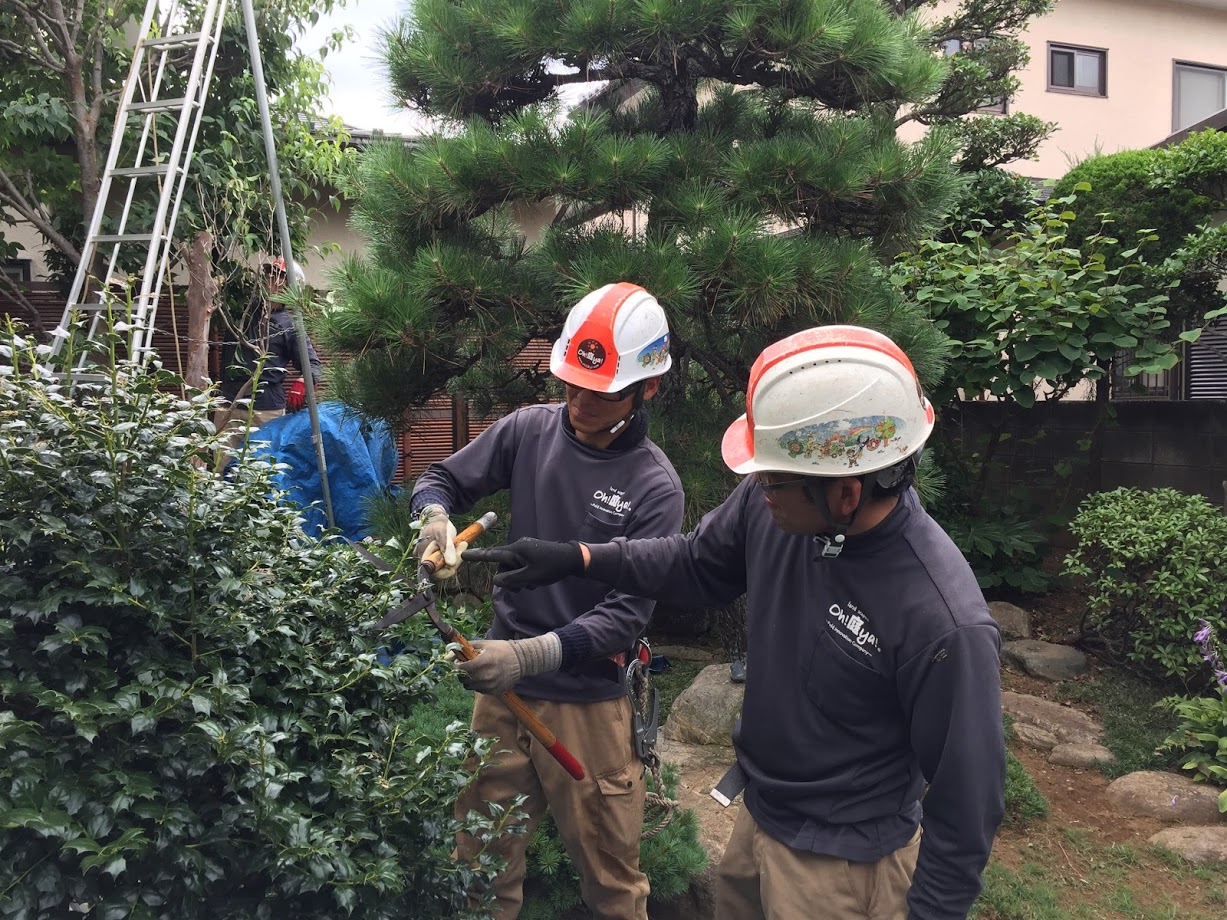 株式会社oh庭ya 名古屋支店の正社員 職人・現場スタッフ お庭・植木の求人情報イメージ2