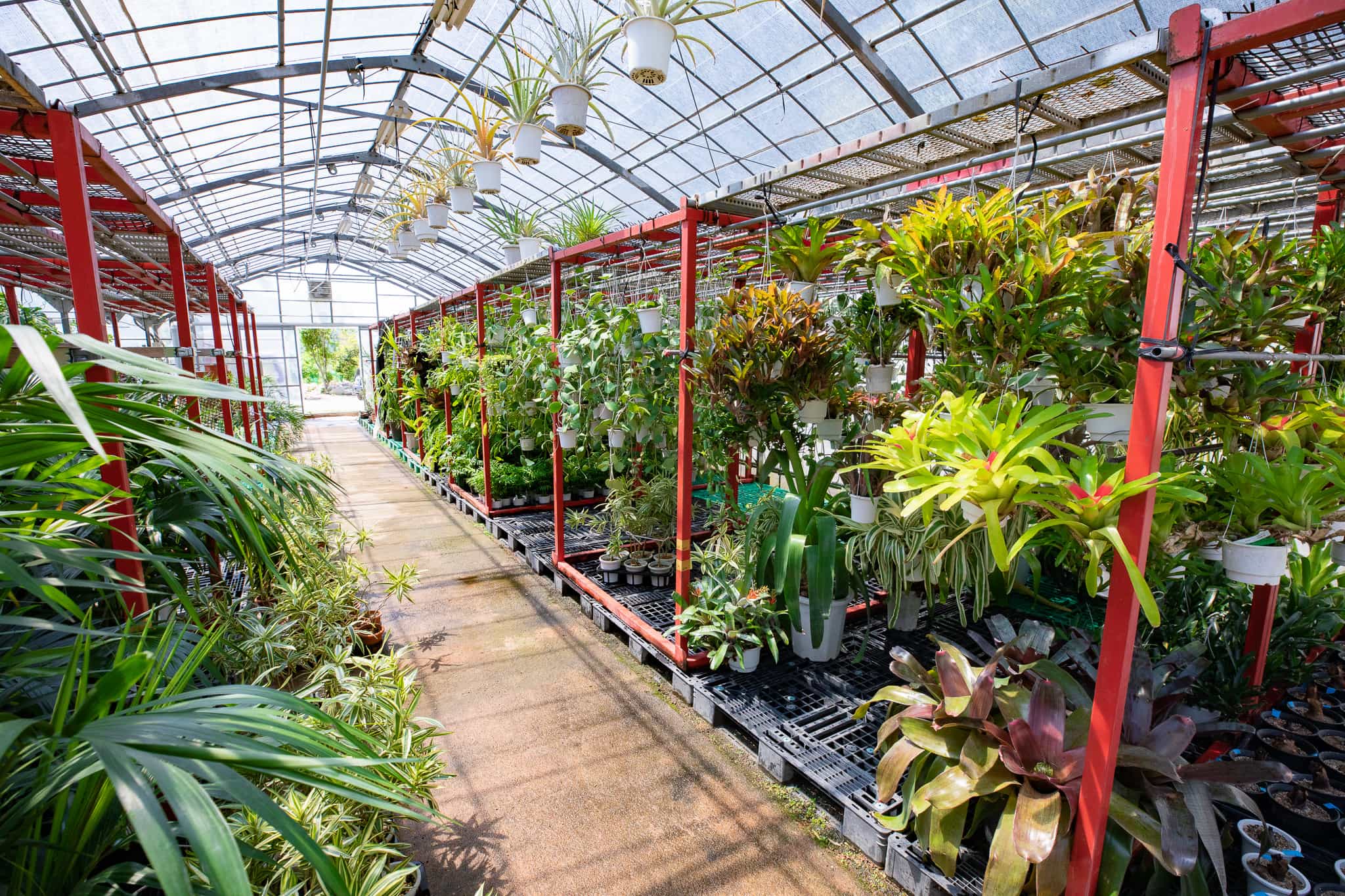 そら植物園株式会社 大阪事務所の正社員 職人・現場スタッフ 公園・施設管理 都市緑化・ランドスケープ お庭・植木の求人情報イメージ3