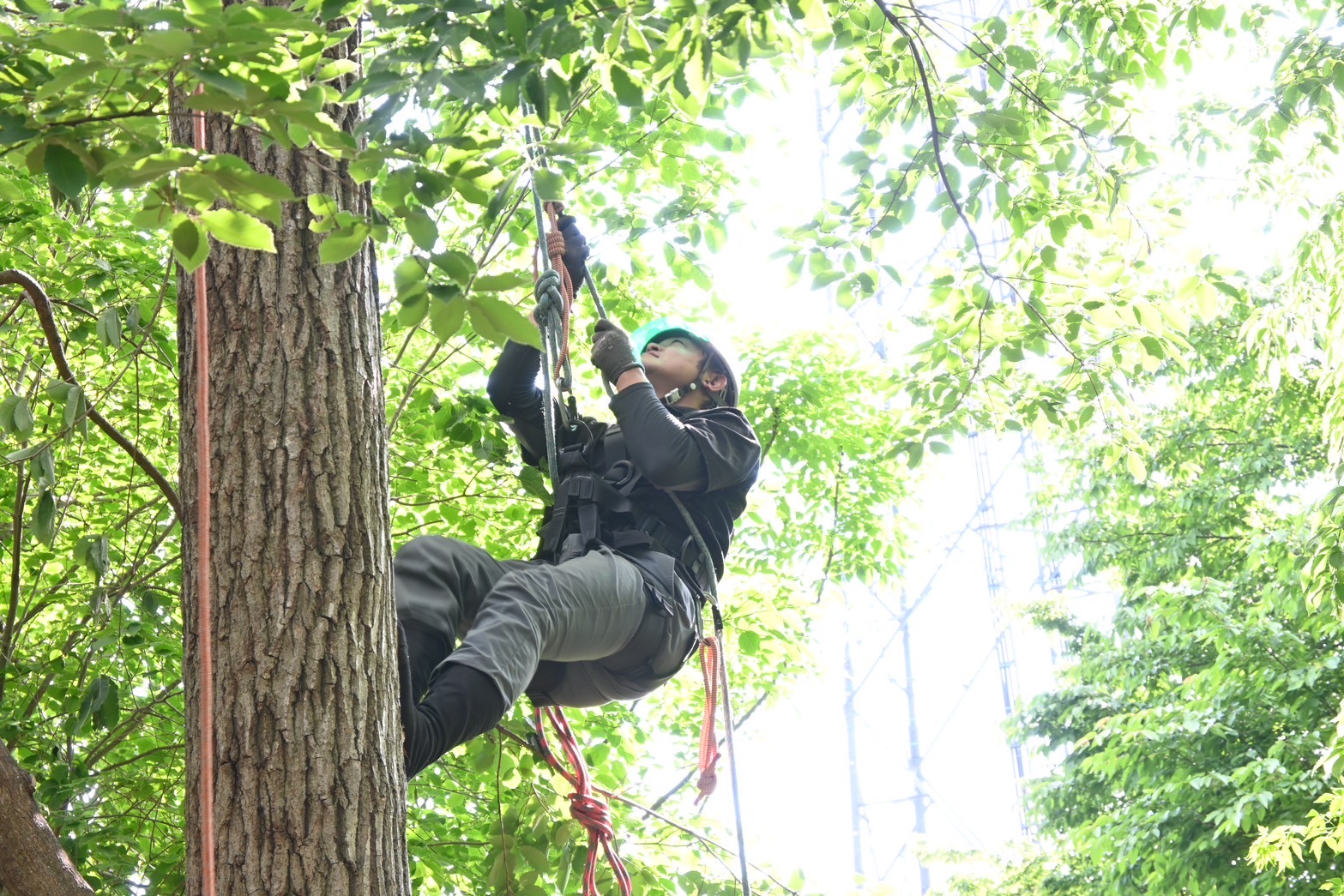 吉村造園株式会社の正社員 職人・現場スタッフ 都市緑化・ランドスケープ 公園・公共施設求人イメージ
