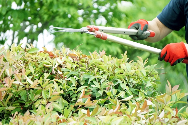 株式会社植正の正社員 施工管理（工事） 現場管理（維持管理） 職人・現場スタッフ 都市緑化・ランドスケープ 外構・エクステリア お庭・植木求人イメージ